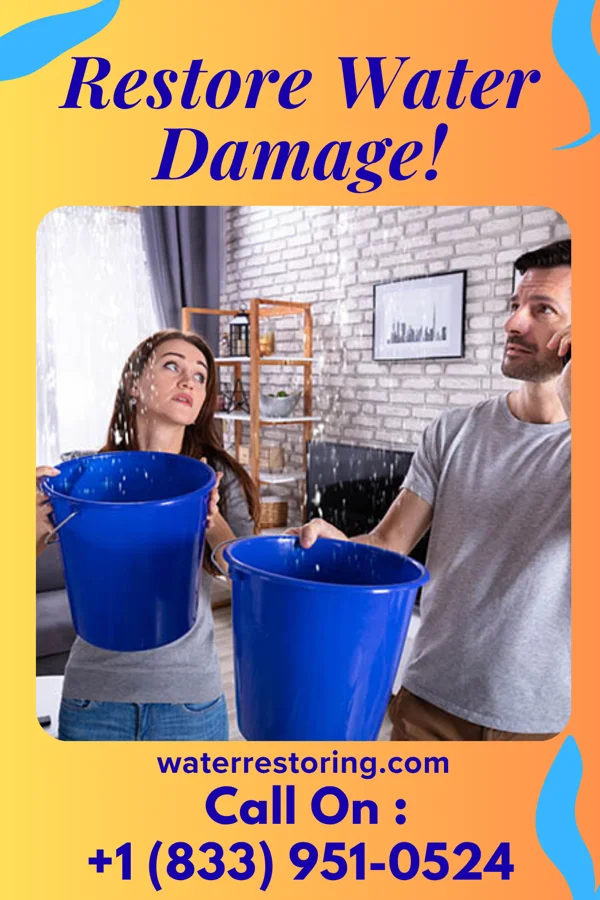 water restoration Sentinel Damage Recovery Inc Eastport